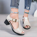 Fish mouth sandals summer new chunky mid-heel shoes