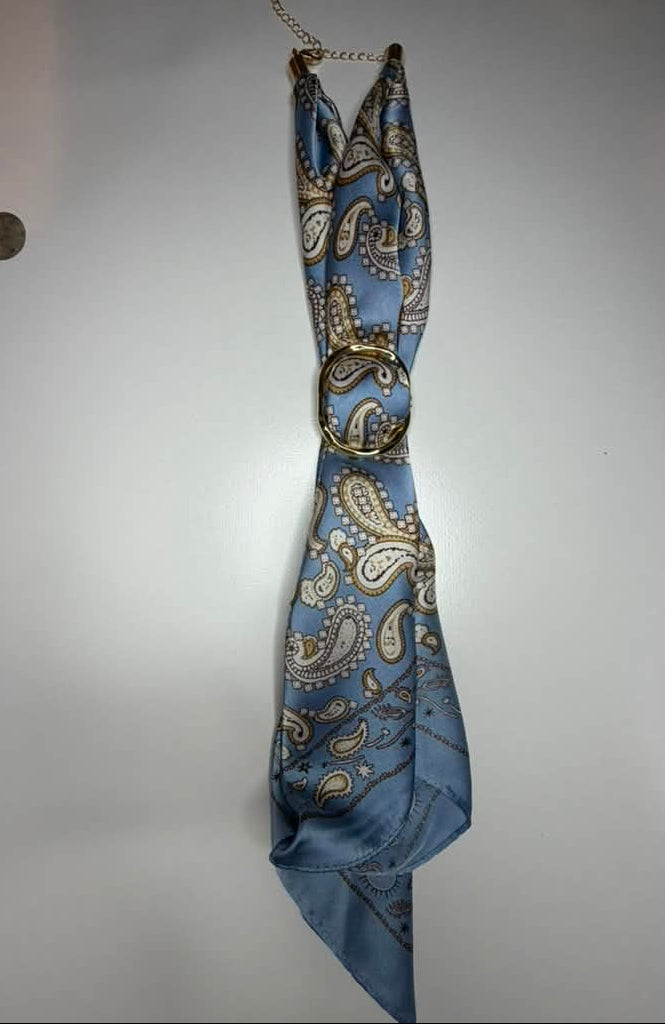 Blue Paisley Print Scarf Accessory